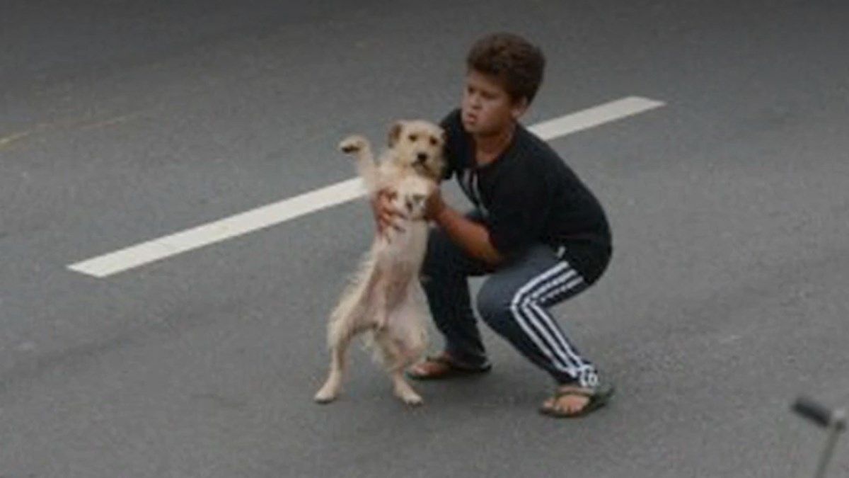 11-godišnjak ugrozio život kako bi spasio psa kojega je udario auto